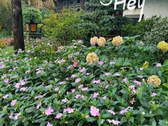 -惠山古镇·寄畅园