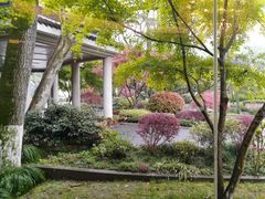 -浙江西子宾馆·瑶园咖啡厅