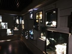 -终南山国家森林公园