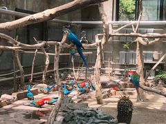 -大连森林动物园