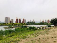 -永定河休闲森林公园