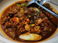 湖塘甲鱼-甲鱼张甲鱼铺子(观沙岭店)