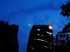 -东风公园