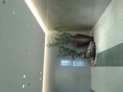 android_upload_pic-青岛西海岸隆和福朋喜来登酒店