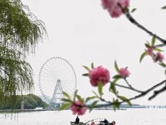 -无锡蠡湖国家湿地公园-蠡园