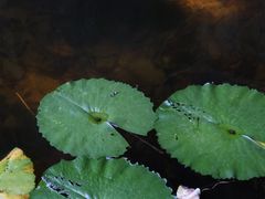 -桂林站