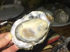 -八一湛江生蚝(文明东路总店)