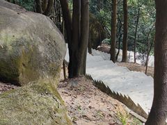 -火炉山森林公园
