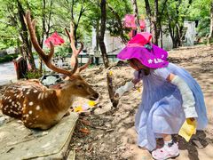 -大连森林动物园