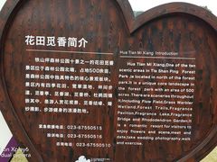 -铁山坪森林公园