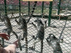 -水上乐园·欢乐世界