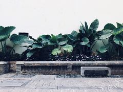 -石屏会馆