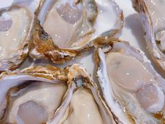 -千岛蚝高压锅生蚝·人参火锅(白云万达店)