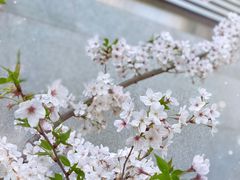 -静安雕塑公园