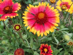 -永定河休闲森林公园