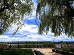 -绿堤公园