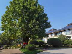 -福建鲤鱼洲酒店