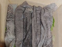 -赵家院子佬火锅(重庆总店)