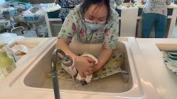 -重庆安琪儿妇产医院-妇幼保健联盟医院
