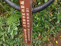 -西双版纳基诺山寨
