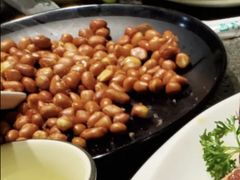 巧拌花生米-鹤之乡·齐齐哈尔烤肉·非遗(秋涛路店)