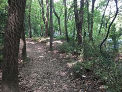 -马王堆汉墓遗址