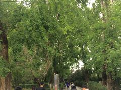 -宗角禄康公园