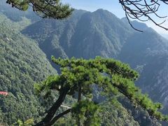 -黄山风景区