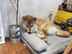 -About Bistro關於·泰式家庭料理