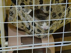 -谜盒子奇幻密室(南屏店)