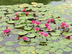 -国家植物园南园