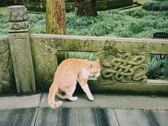-灵隐飞来峰景区
