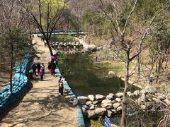 -白水寺森林公园