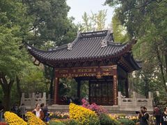 -汇龙潭