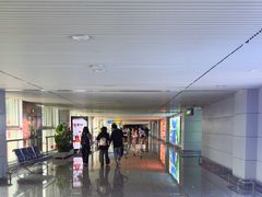 -张家界荷花国际机场