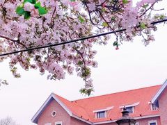 -天津五大道文化旅游区