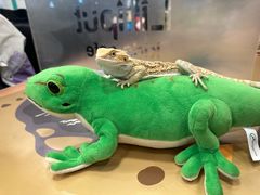 -FAIRYLAND龙族星球主题餐厅(凯丹广场店)