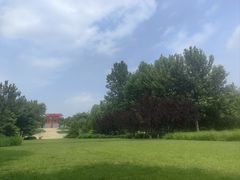 -大望京公园