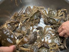 -阆辣荟餐饮(老味道8年·古城店)