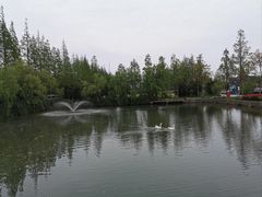 -上海长兴岛郊野公园