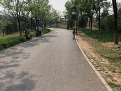 -东郊湿地公园