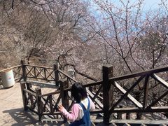-狼牙山风景区