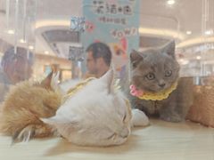 -桂满陇·杭州小馆(巴黎春天浦建店)
