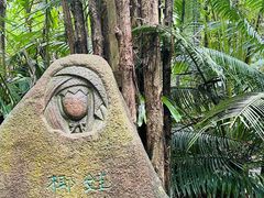 -呀诺达热带雨林