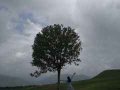 -玉舍国家森林公园