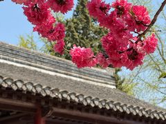-水绘园