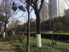 -唐城墙遗址公园