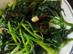 -大班家政月嫂育儿嫂(广州NO.1店)