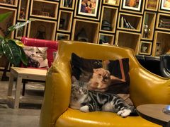 -咖法森林·咖啡  酒吧(天河店)