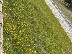 -唐指山风景区